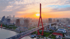 同频华尔道夫的审美